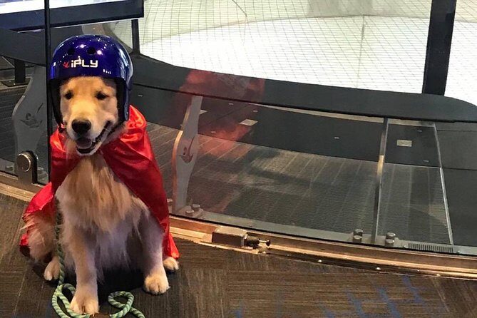 King of Prussia Indoor Skydiving with 2 Flights & Personalized Certificate - Should You Book This iFLY King of Prussia Indoor Skydiving Experience?