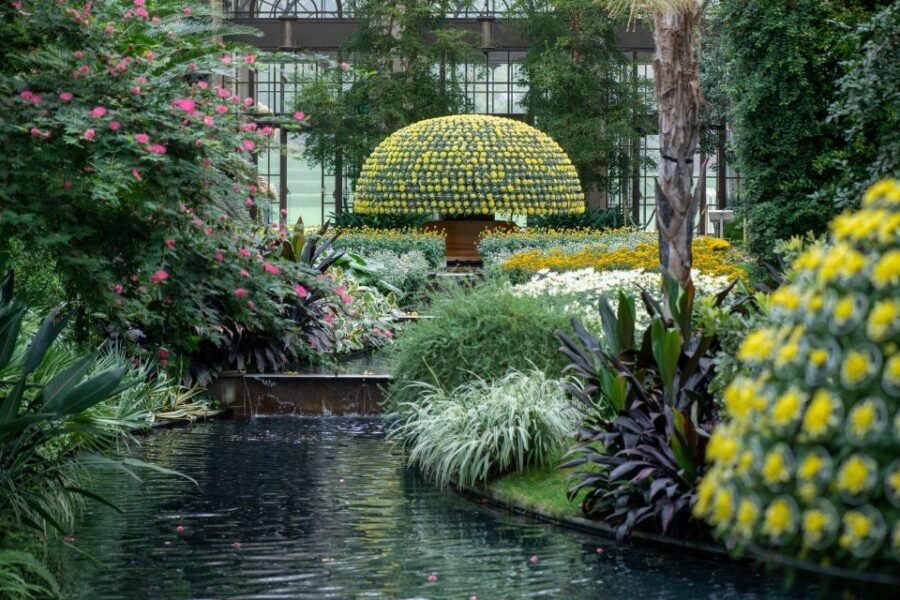 Longwood Gardens Holiday Lights Tour from Philadelphia - Who This Tour Is Best For