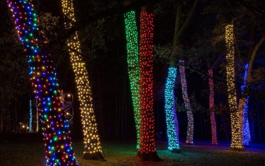 Longwood Gardens Holiday Lights Tour from Philadelphia - Price and Value: What $149 Really Buys You