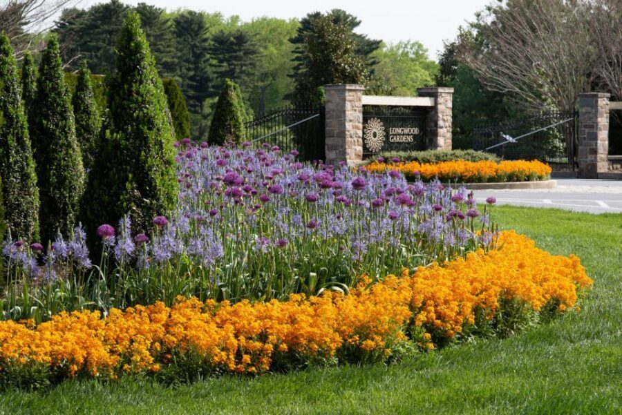 Longwood Gardens Holiday Lights Tour from Philadelphia - Accessibility and Practical Movement: What Works on Winter Paths