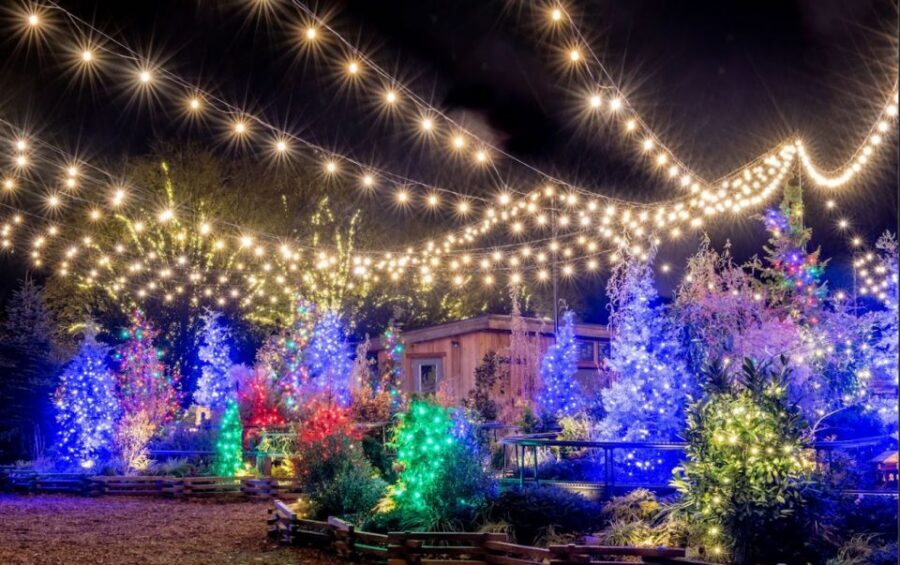 Longwood Gardens Holiday Lights Tour from Philadelphia - The Van Ride Into Brandywine Valley: Comfort Plus Confidence