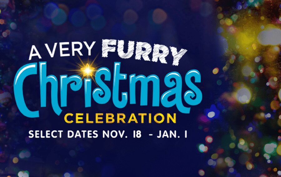 Philadelphia: Official Sesame Place Entry Ticket - Live characters, photos, and the “whole family” rhythm