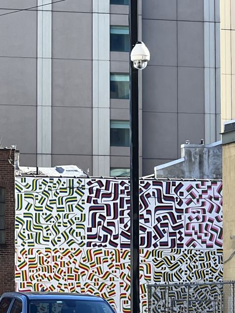 Philadelphia: Street Art Walking Tour with a Local Guide - Price and value for a 2-hour mural hunt at $35