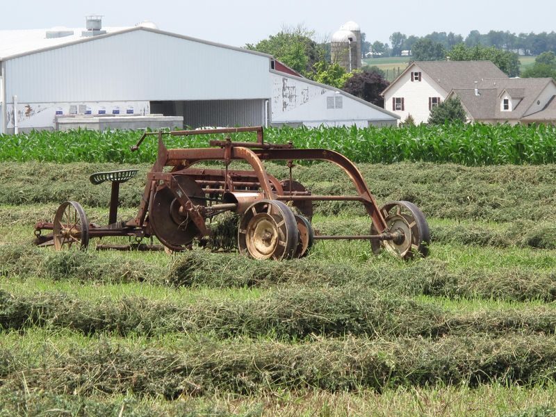 Private Lancaster County Amish Tour from Philadelphia - The Amish museum stop: seeing how life worked for decades and generations