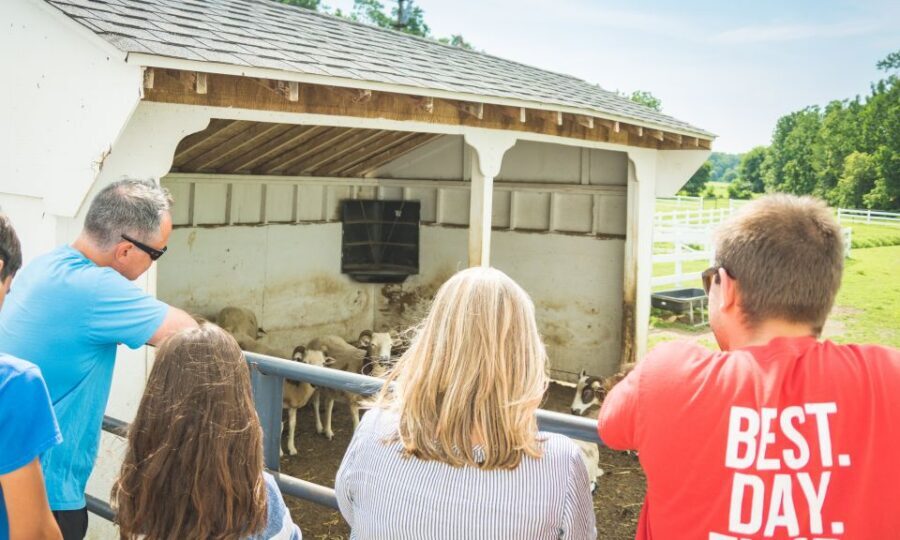 Private Lancaster County Amish Tour from Philadelphia - Price and value: what $1,065 buys you (and what to budget)